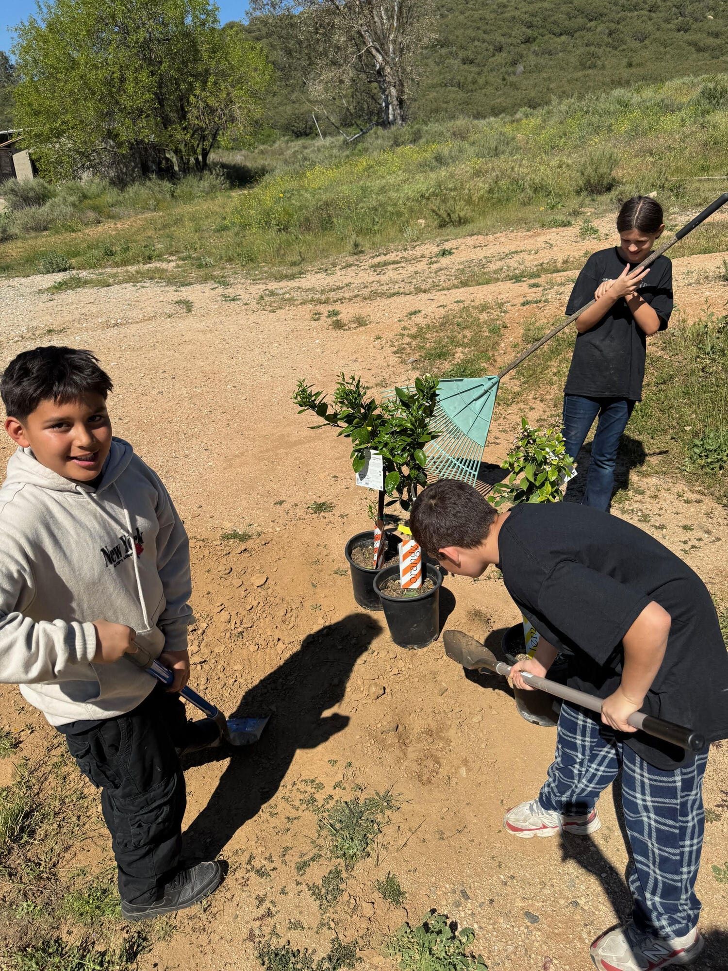 Youth working at Tabernacle Ranch