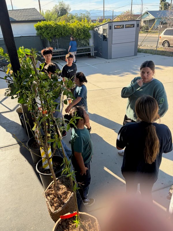 Youth learning about nature at Tabernacle Ranch
